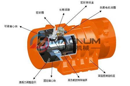 振動篩電機結構圖